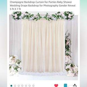 Champagne Backdrop Curtain